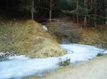 DSC04666web.jpg