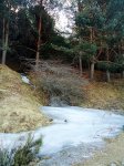 DSC04667web.jpg