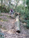 DSCF4769.JPG