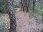 Foto0633.jpg