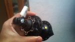 DSC00525.jpg