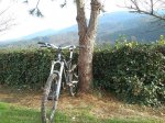 Movil bike 004.JPG