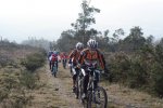DSC08557.JPG