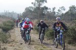 DSC08559.JPG