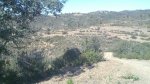 20120226_015.jpg