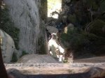 IMG-20120226-WA0017.jpg