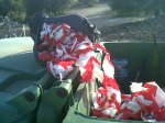 IMG00399-20120227-1648.jpg