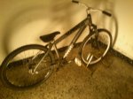 IMG-20120224-WA0002.jpg