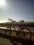IMG00469-20111204-1236.jpg