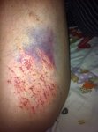ImageUploadedByTapatalk1330382735.621465.jpg