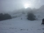 P1020584 (Copiar).JPG