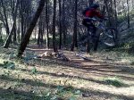28022012581.jpg