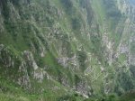 IMG_1206.jpg
