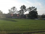 IMG_9260.JPG