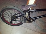 20120229_095944 - copia.jpg