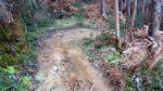 DSC_0383.JPG