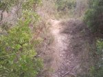 Foto0639.jpg