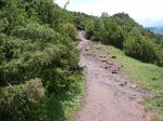 DSC01888.jpg