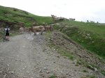 DSC01986.jpg
