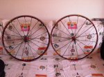 ruedas mavic 010.JPG