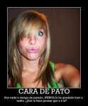 cara_pato.jpg