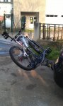 IMAG0186.jpg