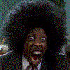 www_MessenTools_com-Humor-pelos-locos.gif