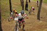 _DSC0017 (Copiar).JPG