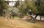_DSC0021 (Copiar).JPG