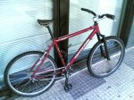 CannondaleSS.jpg