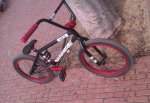 IMAG00171.jpg