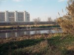 100_0114b.jpg