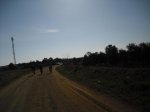 CIMG0916.JPG
