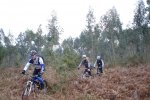 ds_DSC08664.jpg