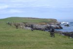 ds_DSC08681.jpg