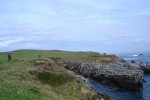 ds_DSC08682.jpg