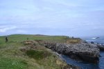 ds_ds_DSC08682.jpg
