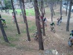 2012-03-02 11.05.15.jpg