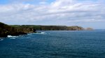 IMG_0827.jpg