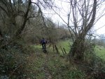 DSC00938.jpg