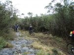 DSC00941.jpg