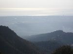 P1017155.JPG