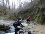 DSC00934.jpg
