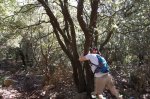 DSC_2216.JPG