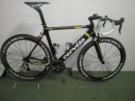 cerv&#233;lo (2).JPG