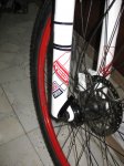 bici 005.JPG