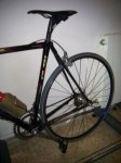 IMG_20120304_165828.jpg