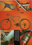 bianchi2.jpeg
