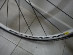 DSC00107.jpg