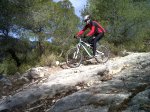IMG-20120303-00355.jpg